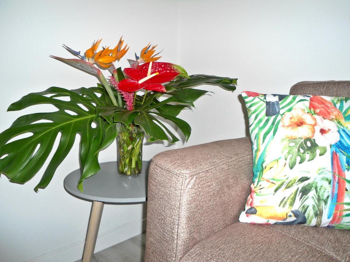 Terrace Apartment Funchal  Ngoại thất bức ảnh