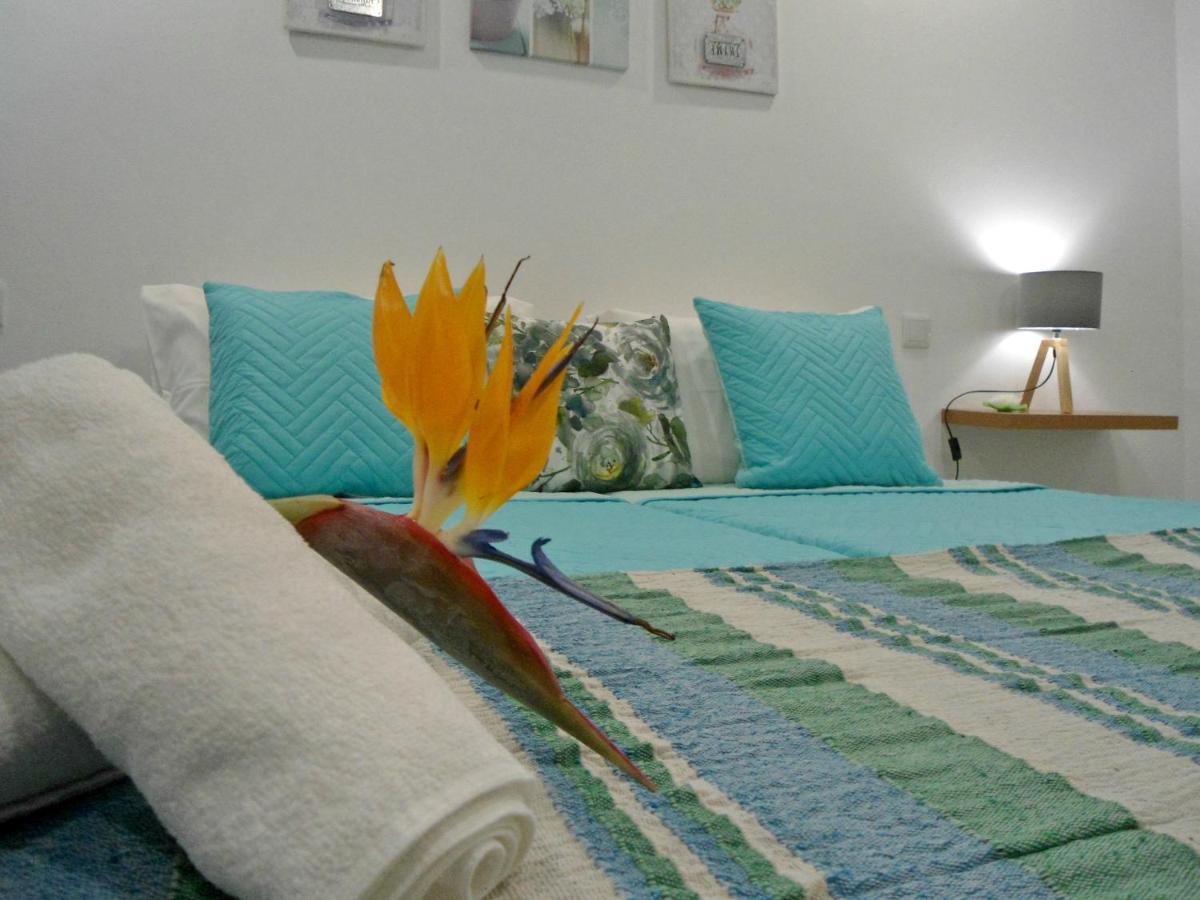 Terrace Apartment Funchal  Ngoại thất bức ảnh